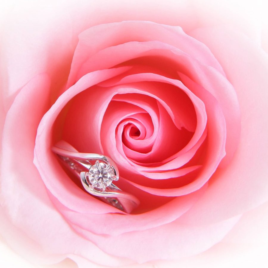 rose-ring